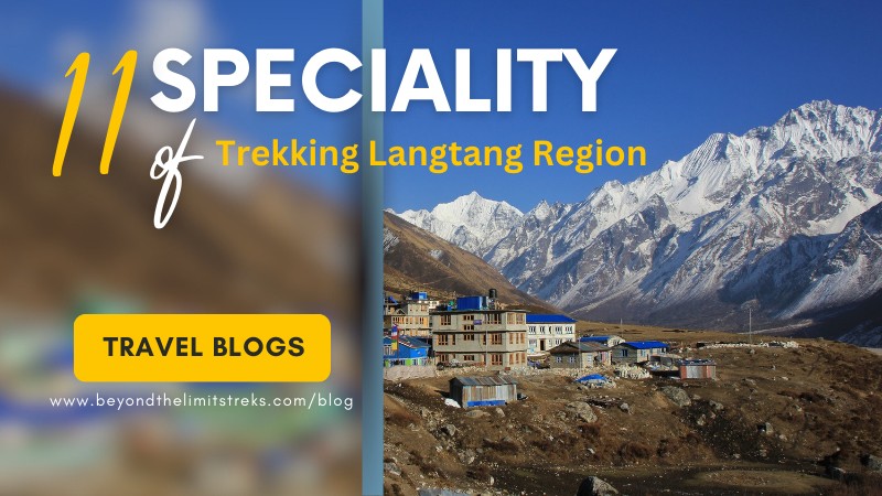 Trekking-Langtang-Region